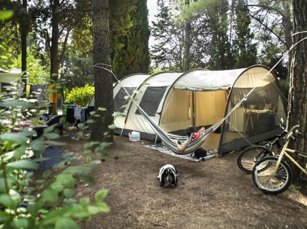 campinglecapanne nl stacaravan-aanbieding-juli-en-begin-augustus 019