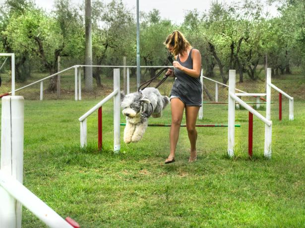 campinglecapanne fr offre-reservez-en-avance-pet-friendly-au-camping-village-en-toscane 020