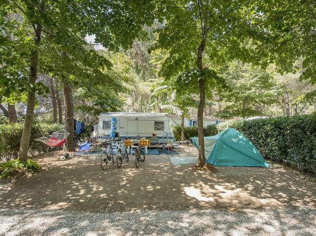 campinglecapanne pl oferta-camping-letnie-wakacje-ze-znizkami 020