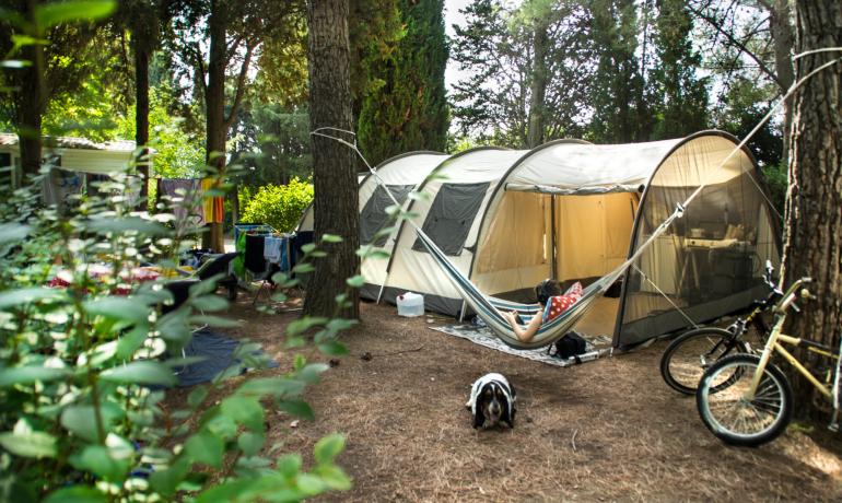 Camping im Wald mit Zelt, Hängematte, Hund und Fahrrädern.