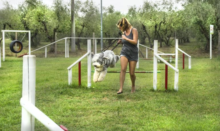 Fröhliche Frau führt Hund über grüne Hindernisse.