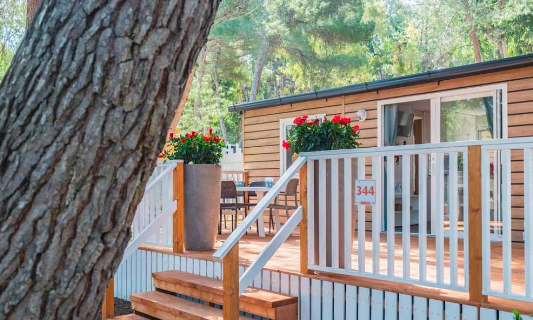 Maison en bois avec véranda et fleurs rouges.