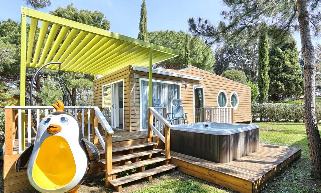 Wooden house with hot tub and penguin slide.